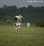 _MG_0469