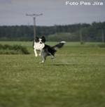 _MG_0820