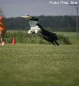 _MG_0670