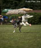 _MG_1591